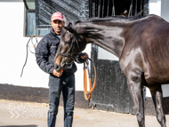 NH051025-26 - Ile de Jersey